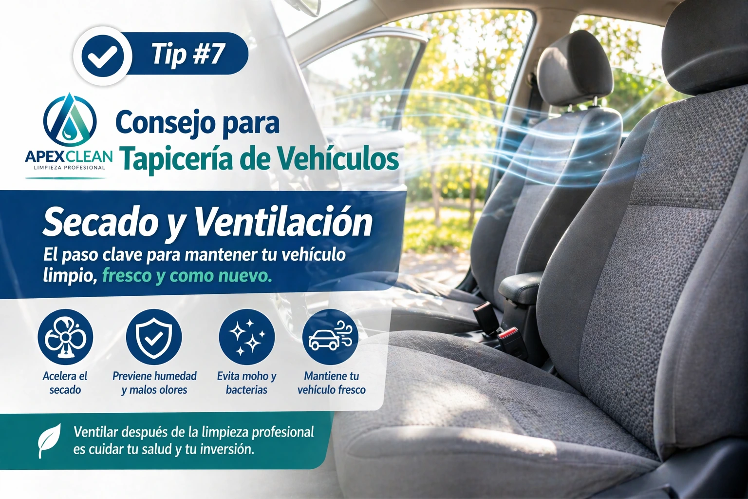 Consejo para Tapicería de Vehículos Secado y Ventilación