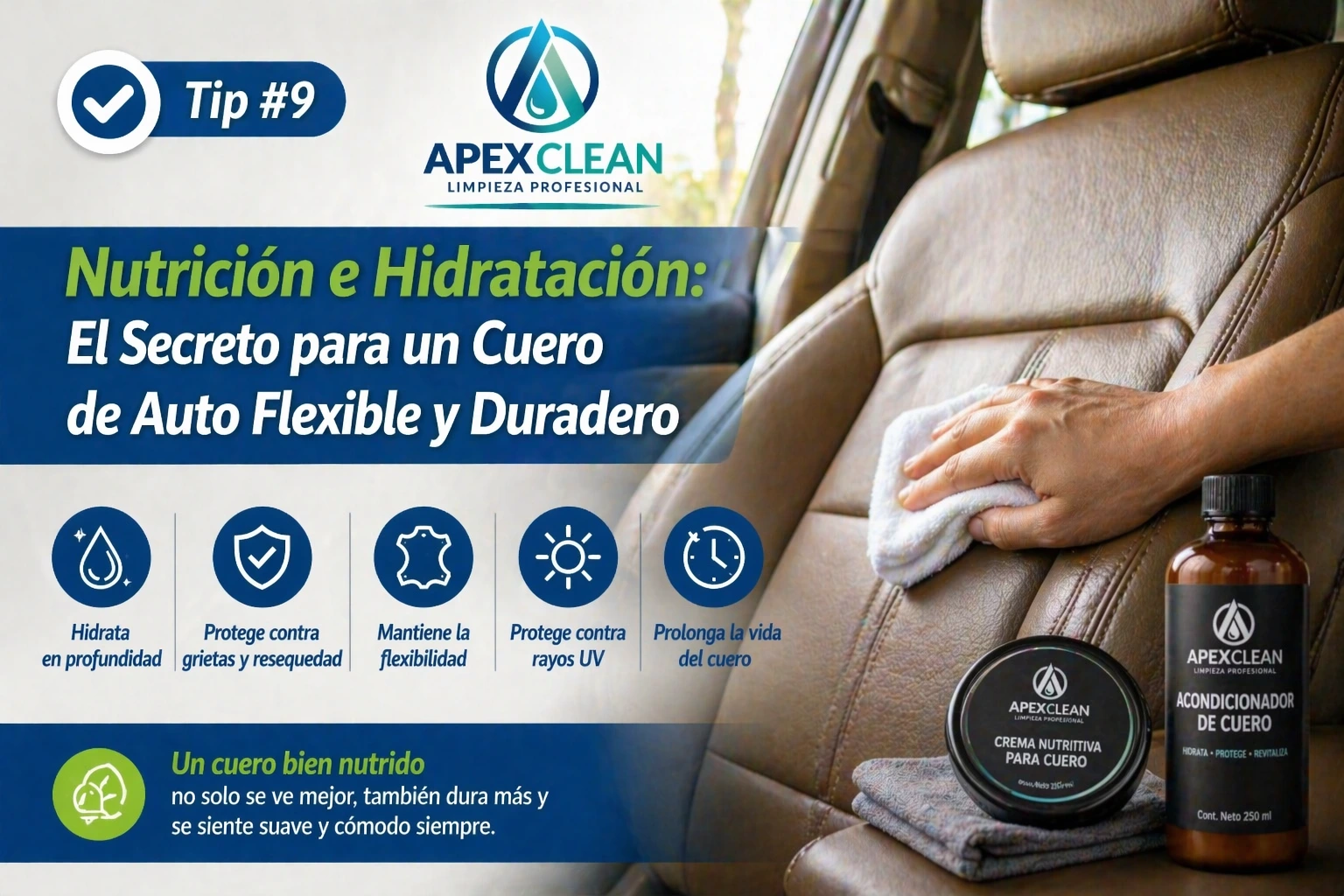 Tip #9: Nutrición e Hidratación: El Secreto para un Cuero de Auto Duradero